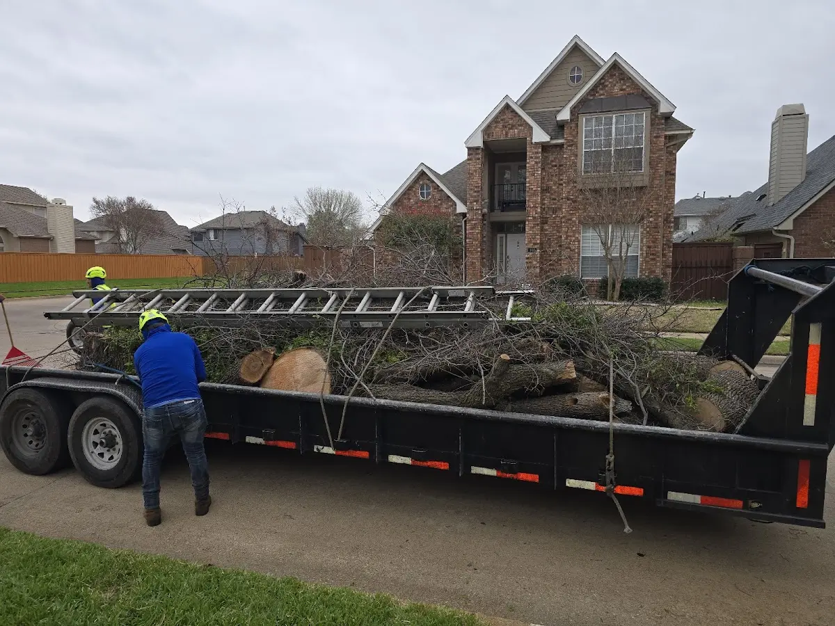 Expert Lot Clearing with proper safety equipment in Gadsden